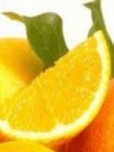 Navel Orange