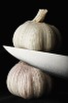 chinese garlic