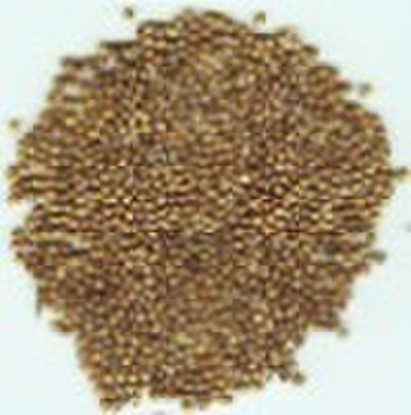 Coriander Seeds