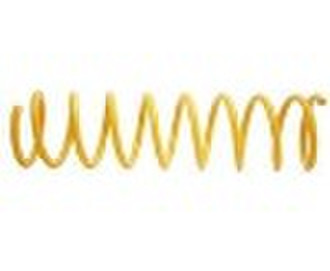 Auto Suspension Spring