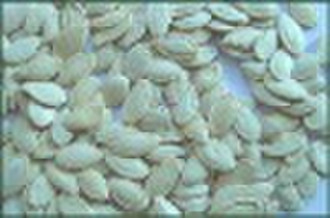 shine skin pumpkin seeds