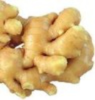 fresh ginger
