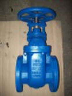 8602-F (BS) Cast Iron Gate Valve (NRS)