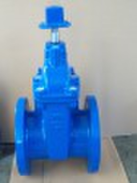 Cast iron gate valve