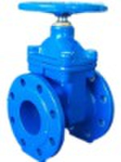 Ductile iron gate valve