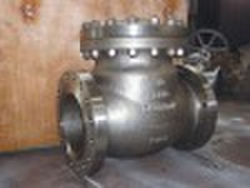 duplex steel check valve