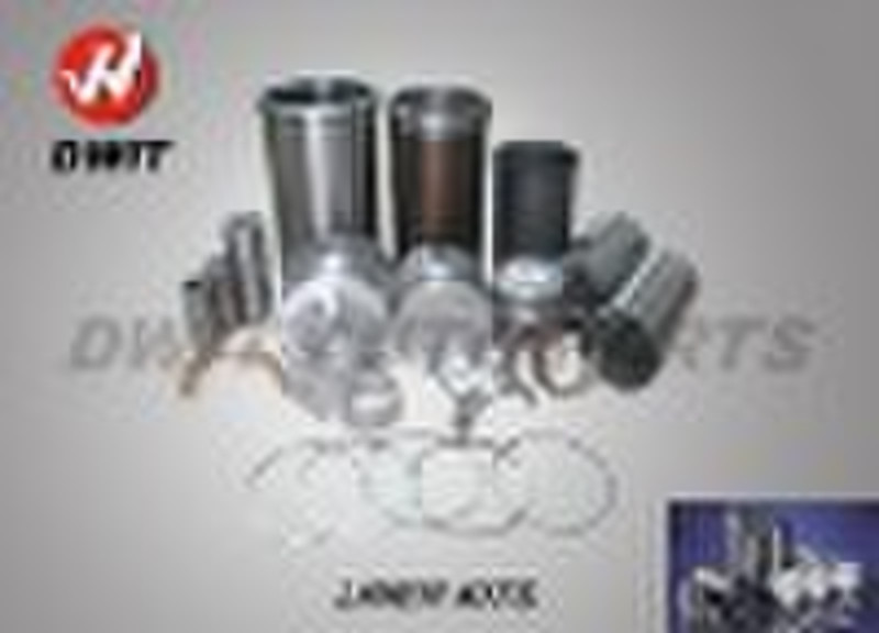 Nissan Cylinder Liner Kit