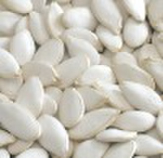 new crop high quality snow white pumpkin seeds