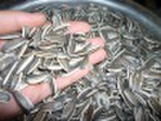 good quality sunflower seeds in shell