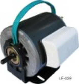 Kühlpumpe Motor