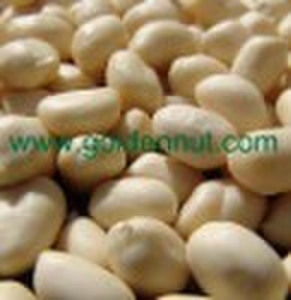 blanched peanut kernels