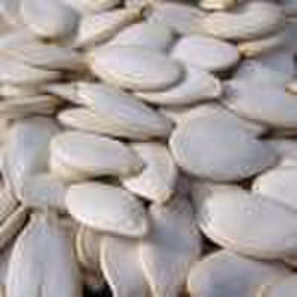 Pumpkin Seeds