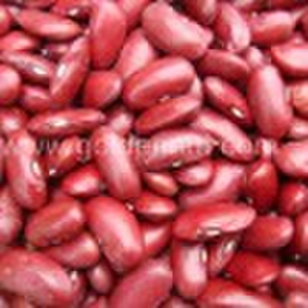 Dark red kidney beans