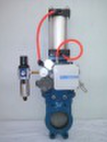 pneumatic  gate valve