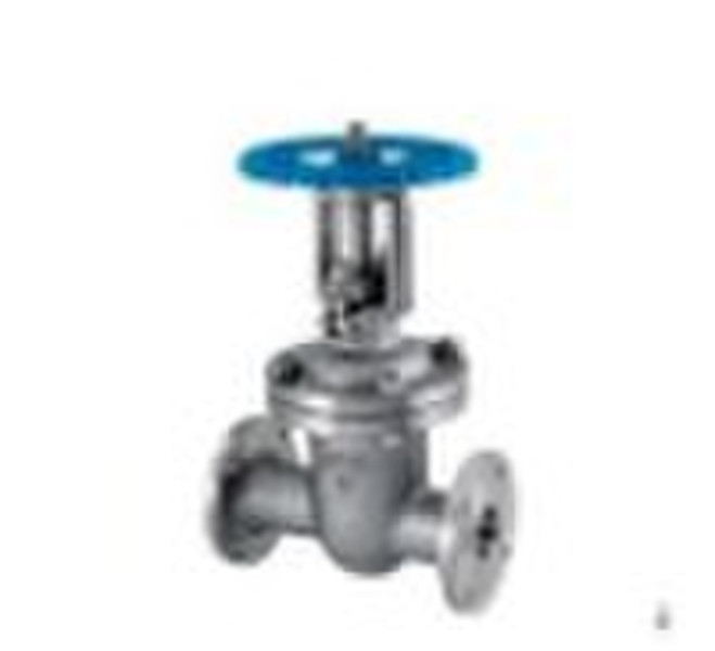 Stainless Steel Gate Valve