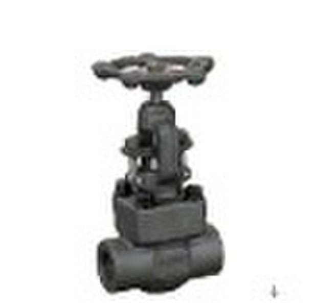 Forged Steel Gate Valve