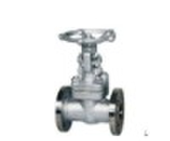 Stainless Steel Gate Valve