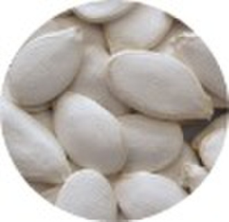 Snow White Pumpkin Seeds