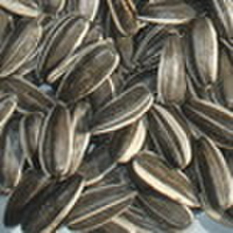 black sunflower seeds