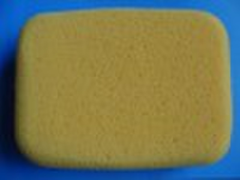 Car cleaning  bath sponge