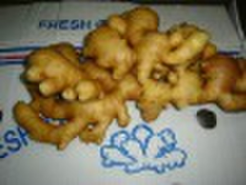fresh normal ginger