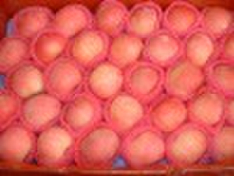 red fuji apple