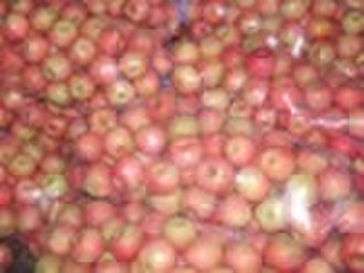 fuji apple