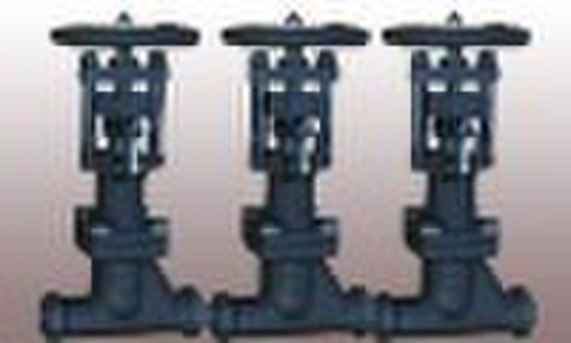 Socket welded connection bellow globe valve