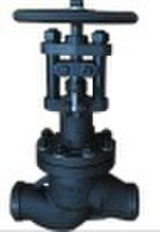 Flanged (RF) globe valve