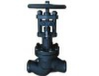 Flanged connection bellows globe check valve