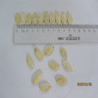 shine skin pumpkin seed kernel