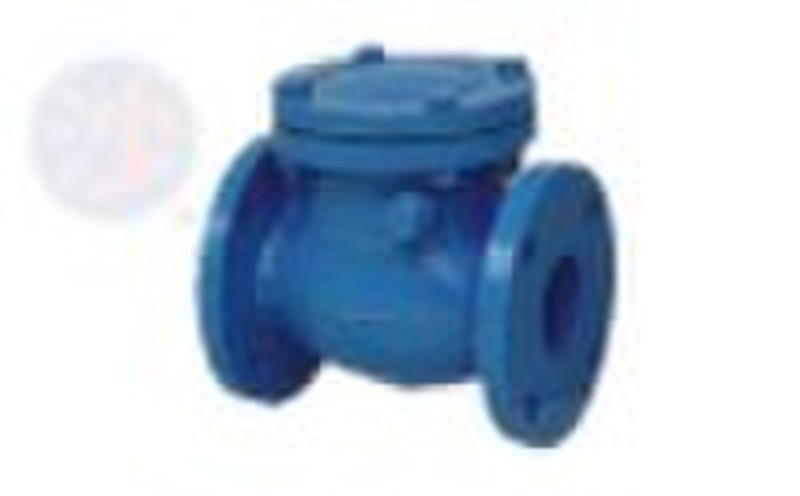 Swing flange check valve