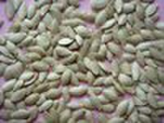 Shin skin pumpkin seeds