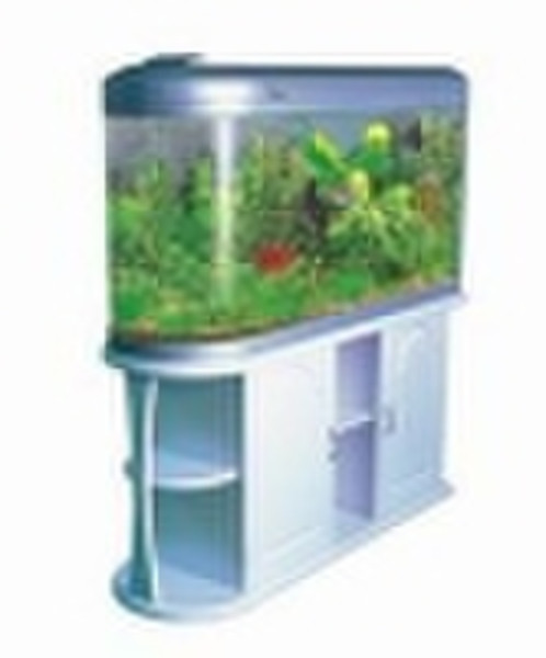 glass fish aquarium