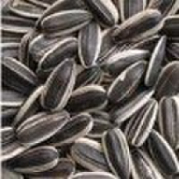 black sunflower seeds