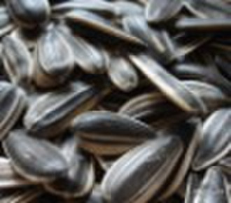 Chinese Sunflower Seeds