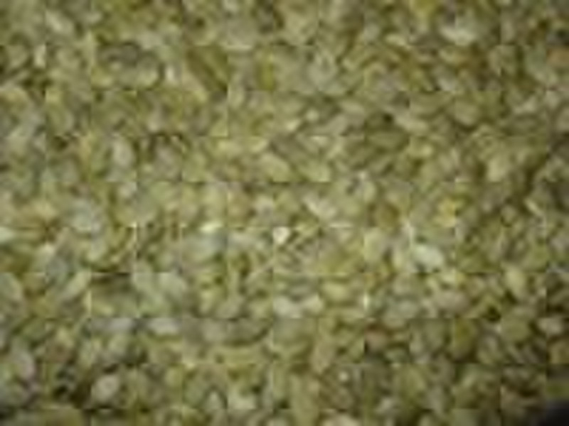 pumpkin  seed kernels