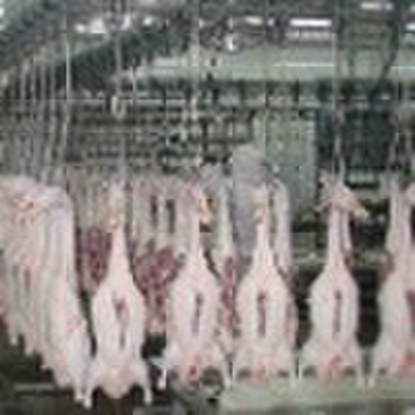 Poultry slaughtering equipment