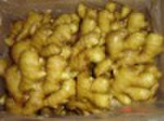 Fresh ginger