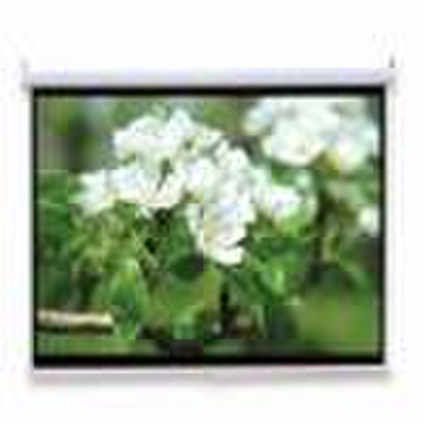 Manual projector Screen