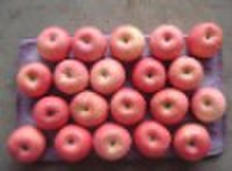 Red Fuji apple