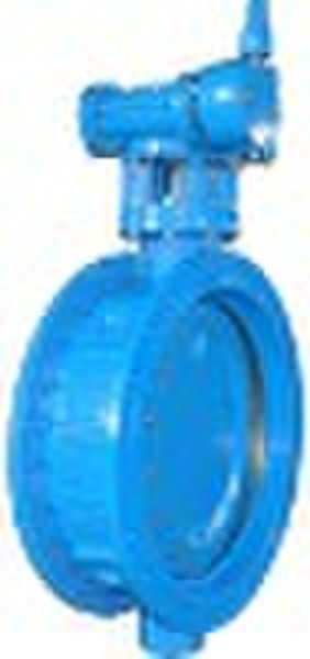 BUTTERFLY  VALVE