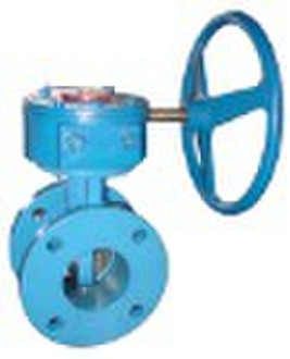 Double Flange gate Valve