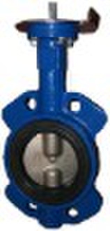 Ductile iron butterfly valve with ductile iron dis