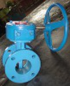 Double flange butterfly valve