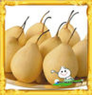 Ya  pear