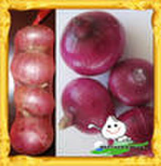sell 2010 red star apple