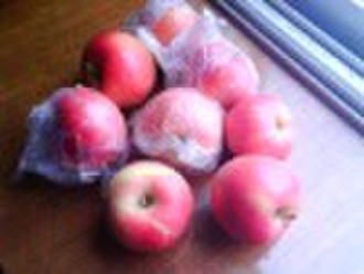 sell 2010 red star apple