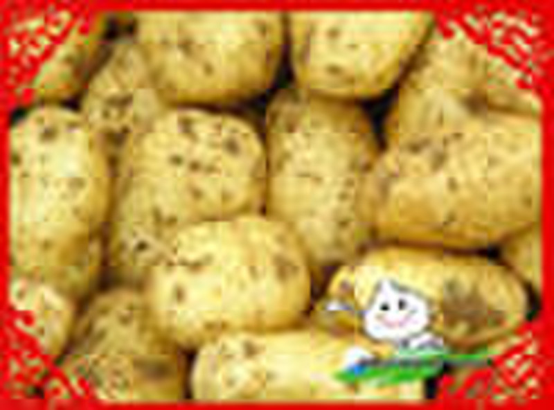 Fresh Potato