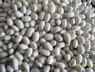 Midlle White  Kidney Beans, Japanese type